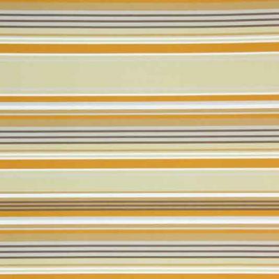 Stripes 328