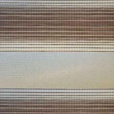 Strip 2